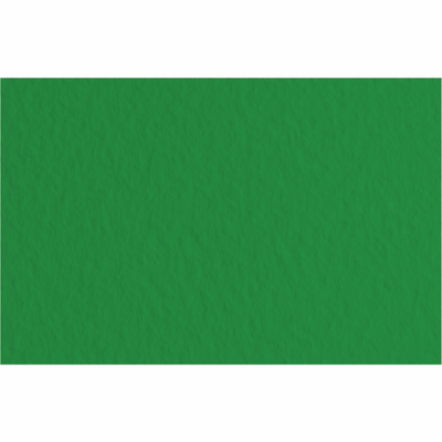 Папір для пастелі Tiziano A3 (29,7*42см), №37 biliardo, 160г/м2, зелений, середнє зерно, Fabriano 8001348170181 фото