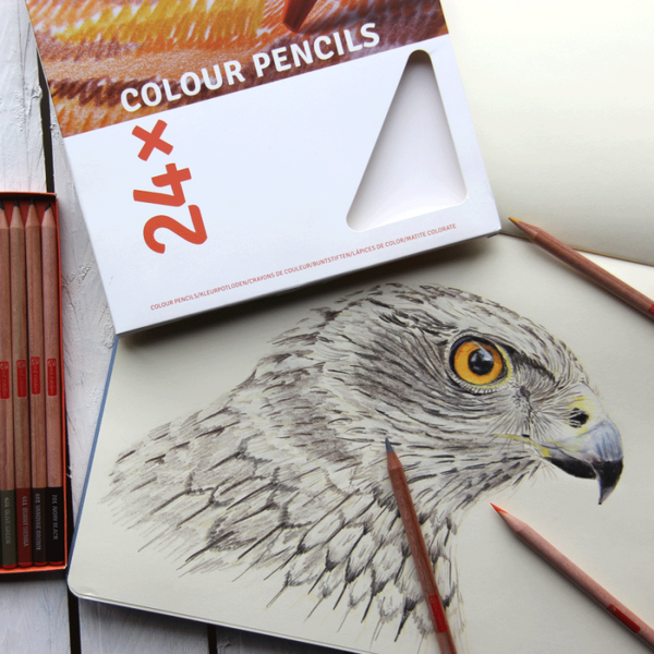 Набір кольорових олівців Talens Art Creation, 24шт, картон., Royal Talens 8712079456948 фото