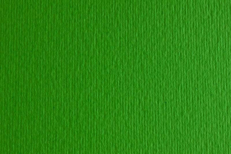 Папір для дизайну Elle Erre B1 (70*100см), №11 verde, 220г/м2, зелений, дві текстури, Fabriano 8001348104711 фото