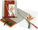 Набір кольорових олівців Bruynzeel Design, 12шт., дер.коробка, Bruynzeel 8710141082576 фото 1